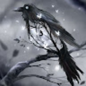 Meet your Posher, Shay